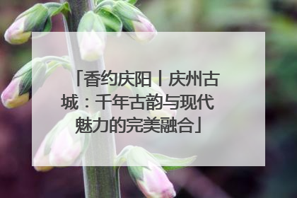 香约庆阳丨庆州古城：千年古韵与现代魅力的完美融合