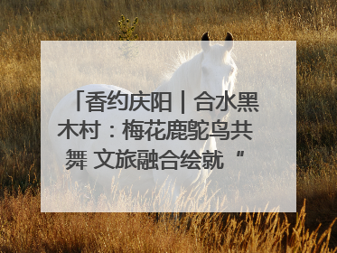香约庆阳｜合水黑木村：梅花鹿鸵鸟共舞 文旅融合绘就“诗与远方”