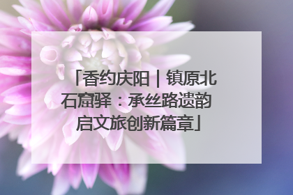 香约庆阳｜镇原北石窟驿：承丝路遗韵 启文旅创新篇章