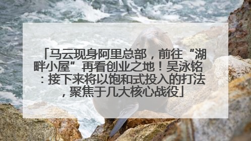 马云现身阿里总部，前往“湖畔小屋”再看创业之地！吴泳铭：接下来将以饱和式投入的打法，聚焦于几大核心战役