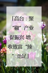 高台：聚“椒”产业促振兴 增收致富“辣”劲足