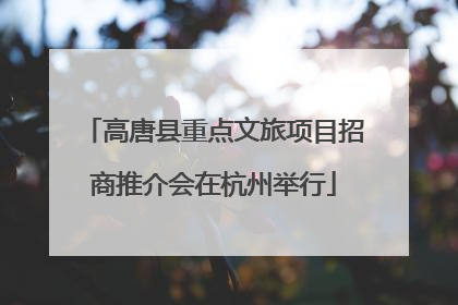 高唐县重点文旅项目招商推介会在杭州举行