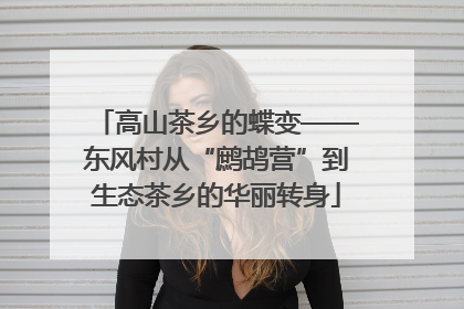 高山茶乡的蝶变——东风村从“鹧鸪营”到生态茶乡的华丽转身