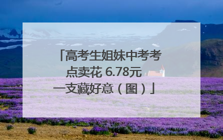 高考生姐妹中考考点卖花 6.78元一支藏好意（图）