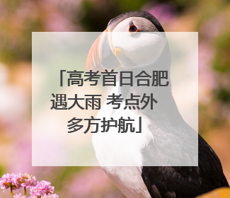 高考首日合肥遇大雨 考点外多方护航