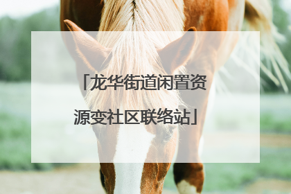 龙华街道闲置资源变社区联络站