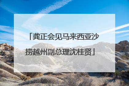 龚正会见马来西亚沙捞越州副总理沈桂贤