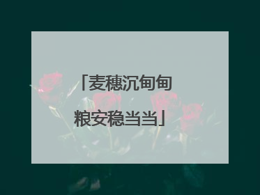 麦穗沉甸甸 粮安稳当当