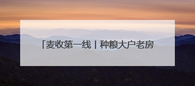 麦收第一线丨种粮大户老房：让专业的人干专业的事