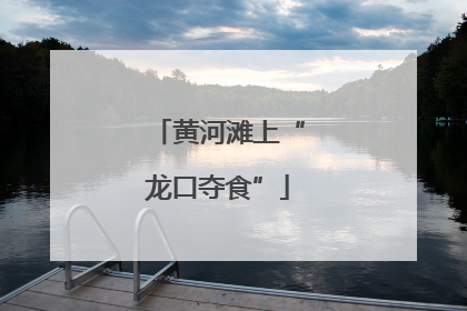 黄河滩上“龙口夺食”