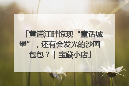 黄浦江畔惊现“童话城堡”，还有会发光的沙画包包？｜宝藏小店