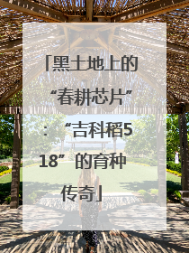 黑土地上的“春耕芯片”：“吉科稻518”的育种传奇