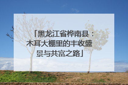 黑龙江省桦南县：木耳大棚里的丰收盛景与共富之路