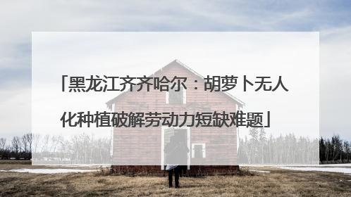 黑龙江齐齐哈尔：胡萝卜无人化种植破解劳动力短缺难题