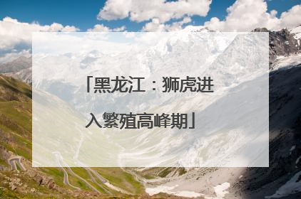 黑龙江：狮虎进入繁殖高峰期