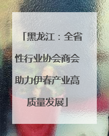 黑龙江：全省性行业协会商会助力伊春产业高质量发展