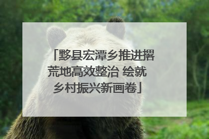 黟县宏潭乡推进撂荒地高效整治 绘就乡村振兴新画卷