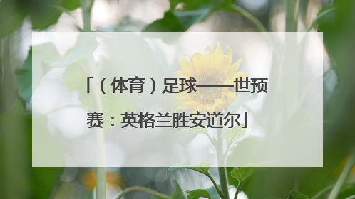 （体育）足球——世预赛：英格兰胜安道尔
