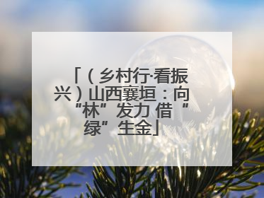 （乡村行·看振兴）山西襄垣：向“林”发力 借“绿”生金