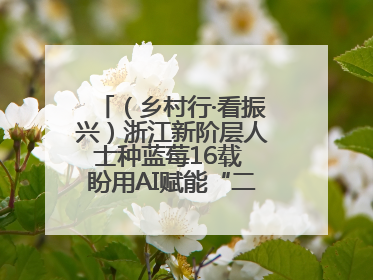 （乡村行·看振兴）浙江新阶层人士种蓝莓16载 盼用AI赋能“二次创业”