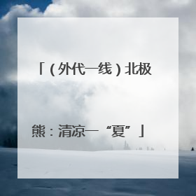 （外代一线）北极熊：清凉一“夏”