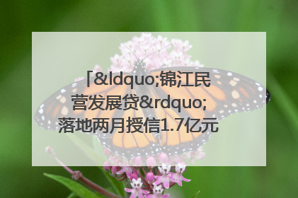 “锦江民营发展贷”落地两月授信1.7亿元，惠及118家民企