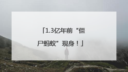 1.3亿年前“僵尸蚂蚁”现身！