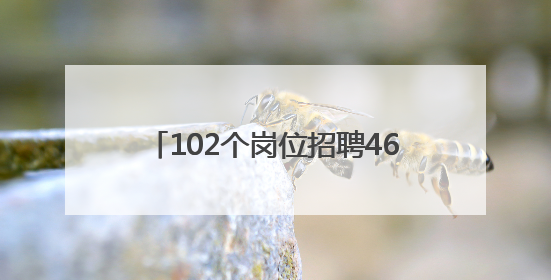 102个岗位招聘463人，最高月薪3万