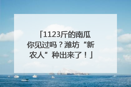 1123斤的南瓜你见过吗？潍坊“新农人”种出来了！