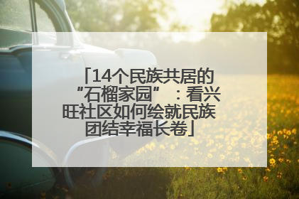 14个民族共居的“石榴家园”：看兴旺社区如何绘就民族团结幸福长卷