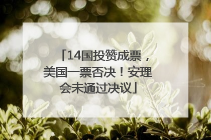 14国投赞成票，美国一票否决！安理会未通过决议