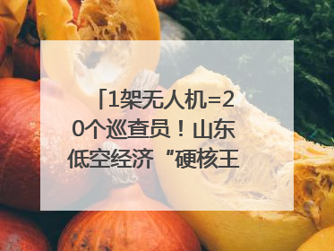 1架无人机=20个巡查员！山东低空经济“硬核王炸”亮相青岛，下一个万亿赛道藏在这里