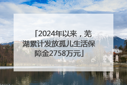 2024年以来，芜湖累计发放孤儿生活保障金2758万元