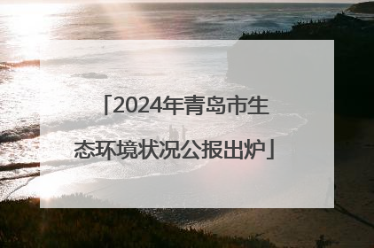 2024年青岛市生态环境状况公报出炉
