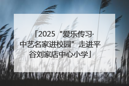 2025“爱乐传习·中艺名家进校园”走进平谷刘家店中心小学