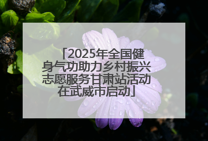 2025年全国健身气功助力乡村振兴志愿服务甘肃站活动在武威市启动