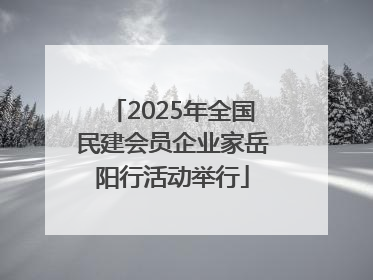 2025年全国民建会员企业家岳阳行活动举行