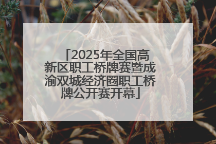2025年全国高新区职工桥牌赛暨成渝双城经济圈职工桥牌公开赛开幕