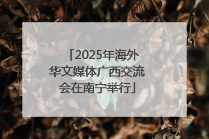 2025年海外华文媒体广西交流会在南宁举行