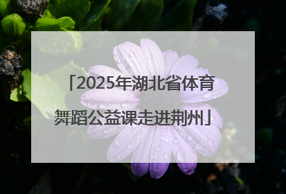 2025年湖北省体育舞蹈公益课走进荆州