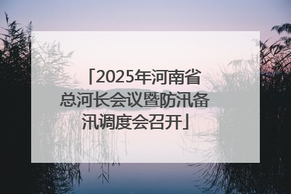 2025年河南省总河长会议暨防汛备汛调度会召开