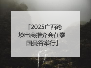 2025广西跨境电商推介会在泰国曼谷举行