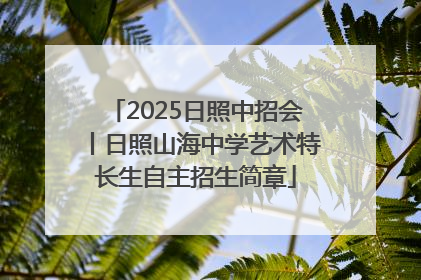 2025日照中招会丨日照山海中学艺术特长生自主招生简章