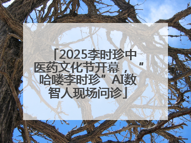 2025李时珍中医药文化节开幕，“哈喽李时珍”AI数智人现场问诊