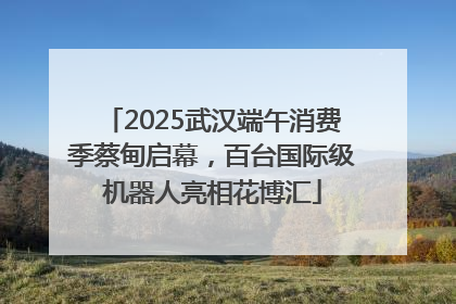 2025武汉端午消费季蔡甸启幕，百台国际级机器人亮相花博汇