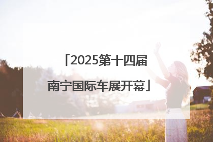 2025第十四届南宁国际车展开幕