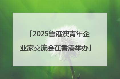 2025鲁港澳青年企业家交流会在香港举办