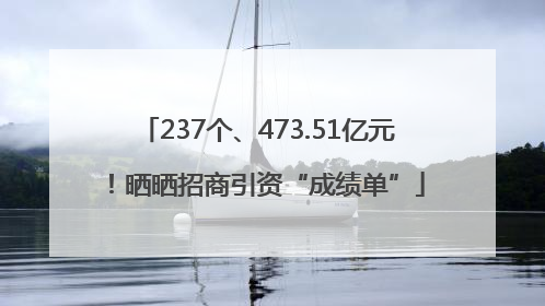 237个、473.51亿元！晒晒招商引资“成绩单”