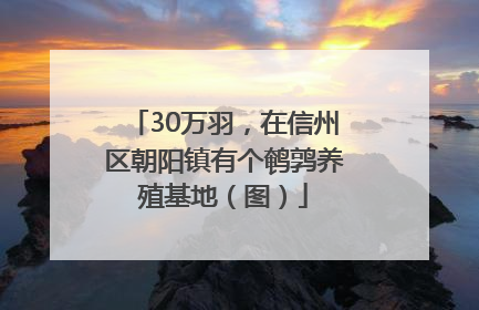 30万羽，在信州区朝阳镇有个鹌鹑养殖基地（图）