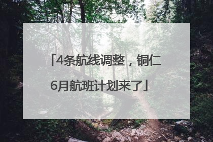 4条航线调整，铜仁6月航班计划来了